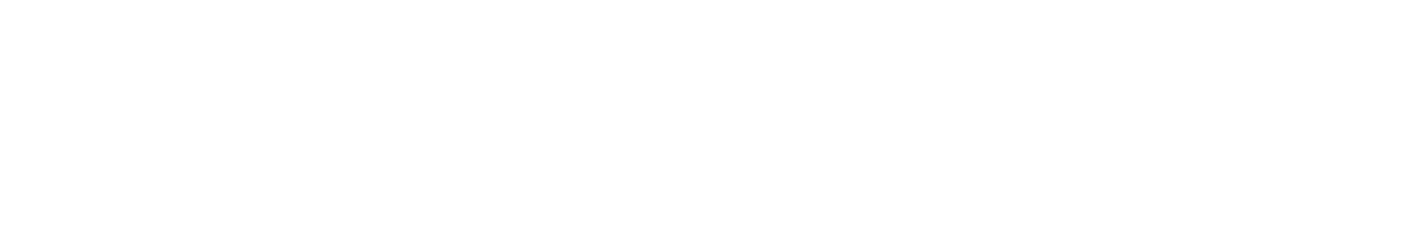Wallsec Logo
